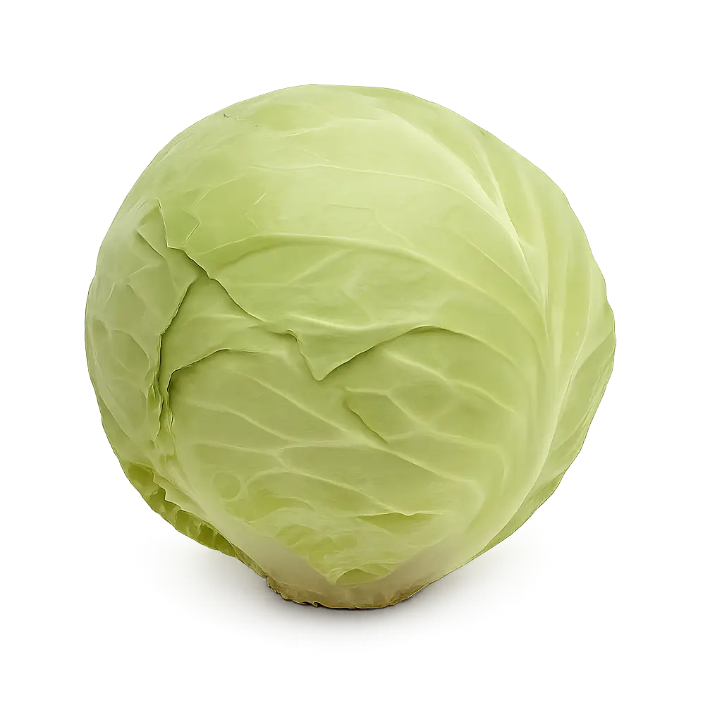 Mladi kupus