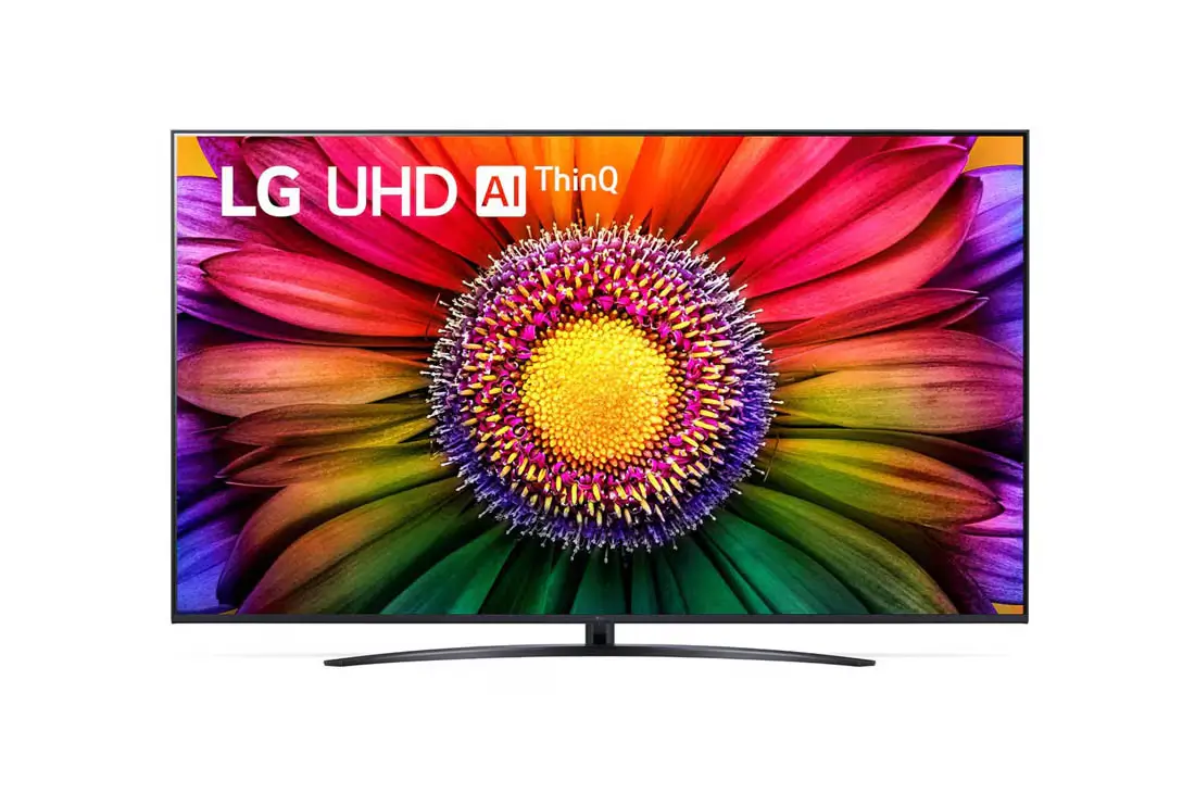 LG LED televizor 65UR81003LJ, 4K Ultra HD, Smart TV, WebOS